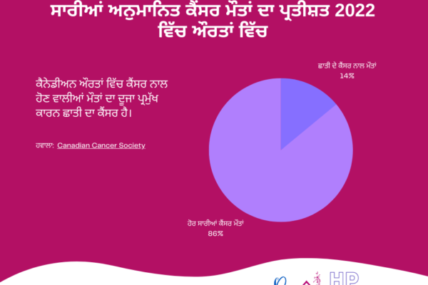 Punjabi - 3