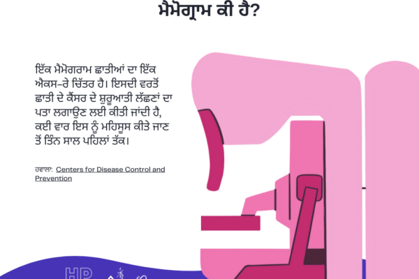 Punjabi - 4